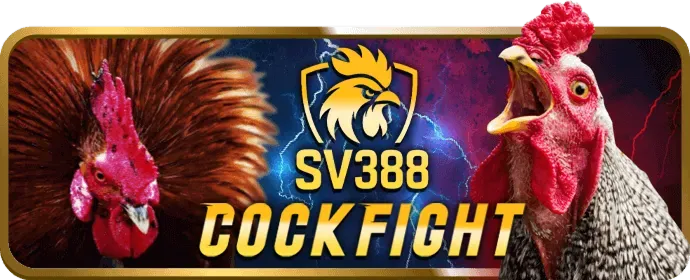 Tin tức đá gà Nova88